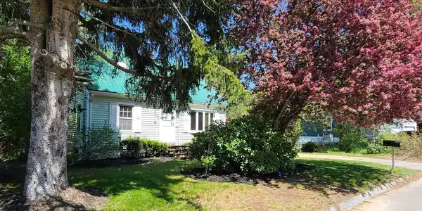 51 Applevale Drive