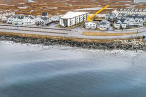 493 Ocean