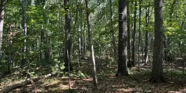 Image 3 Image 3