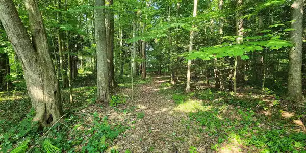 Image 3 Image 3
