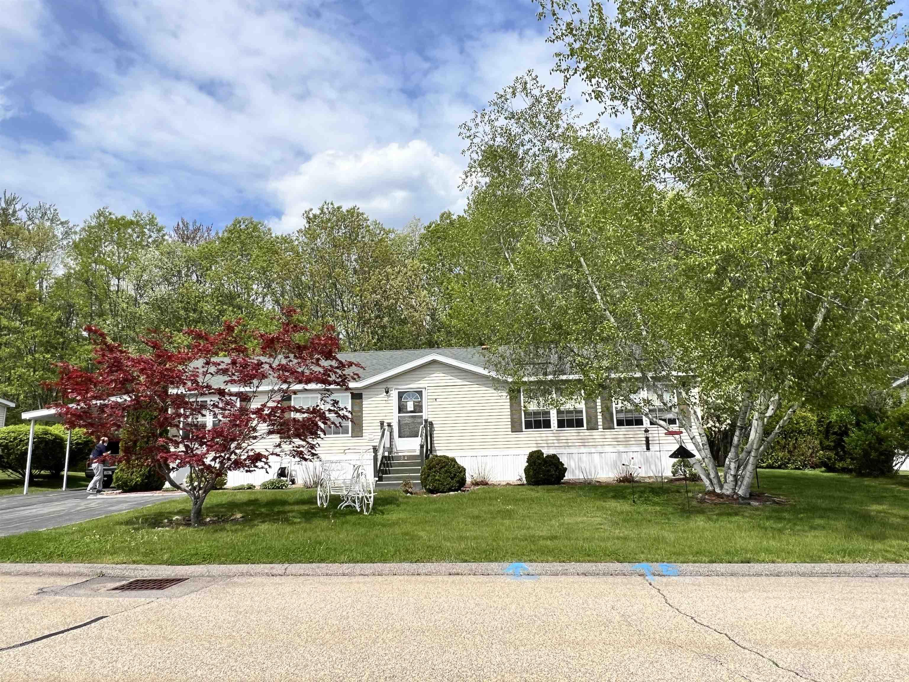 Image 4: Mature Landscaping