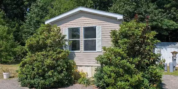 Image 3: Beautiful Rhododendrons! Image 3: Beautiful Rhododendrons!