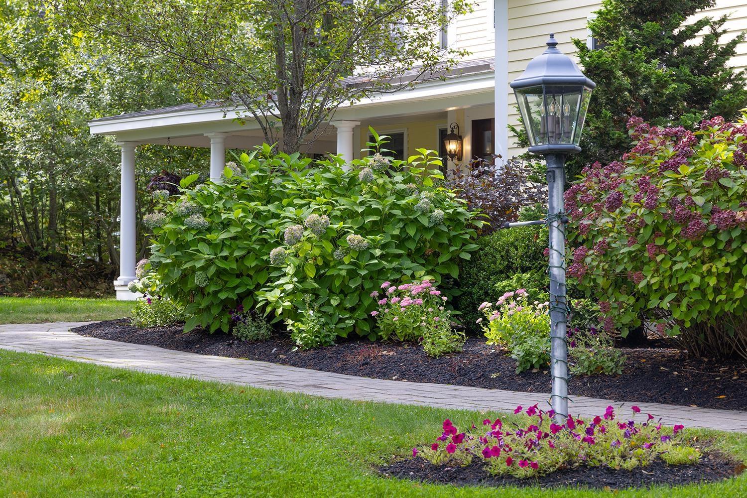 Image 3: Beautifully Landscaped Front Walkway