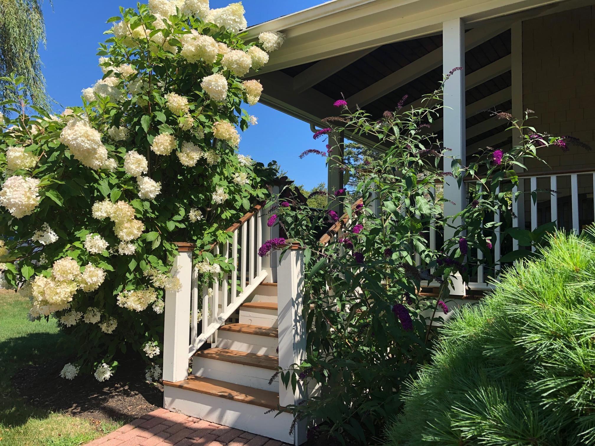 Image 3: Side Entrance to Wrap-around Farmers Porch