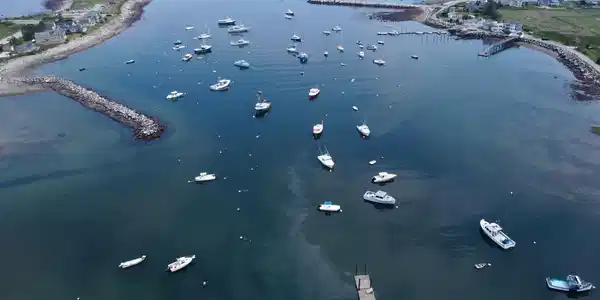 118 Harbor