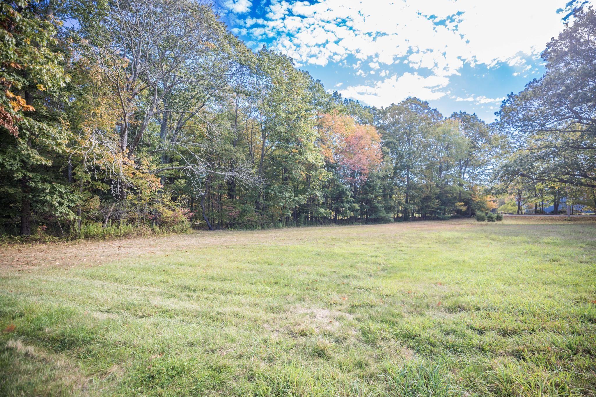 Image 4 Image 4