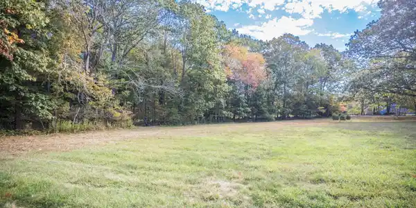 Image 4 Image 4