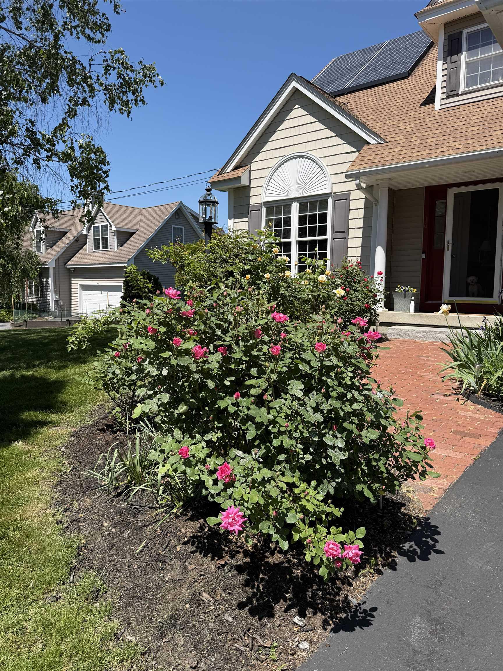 Image 3: Mature Landscaping