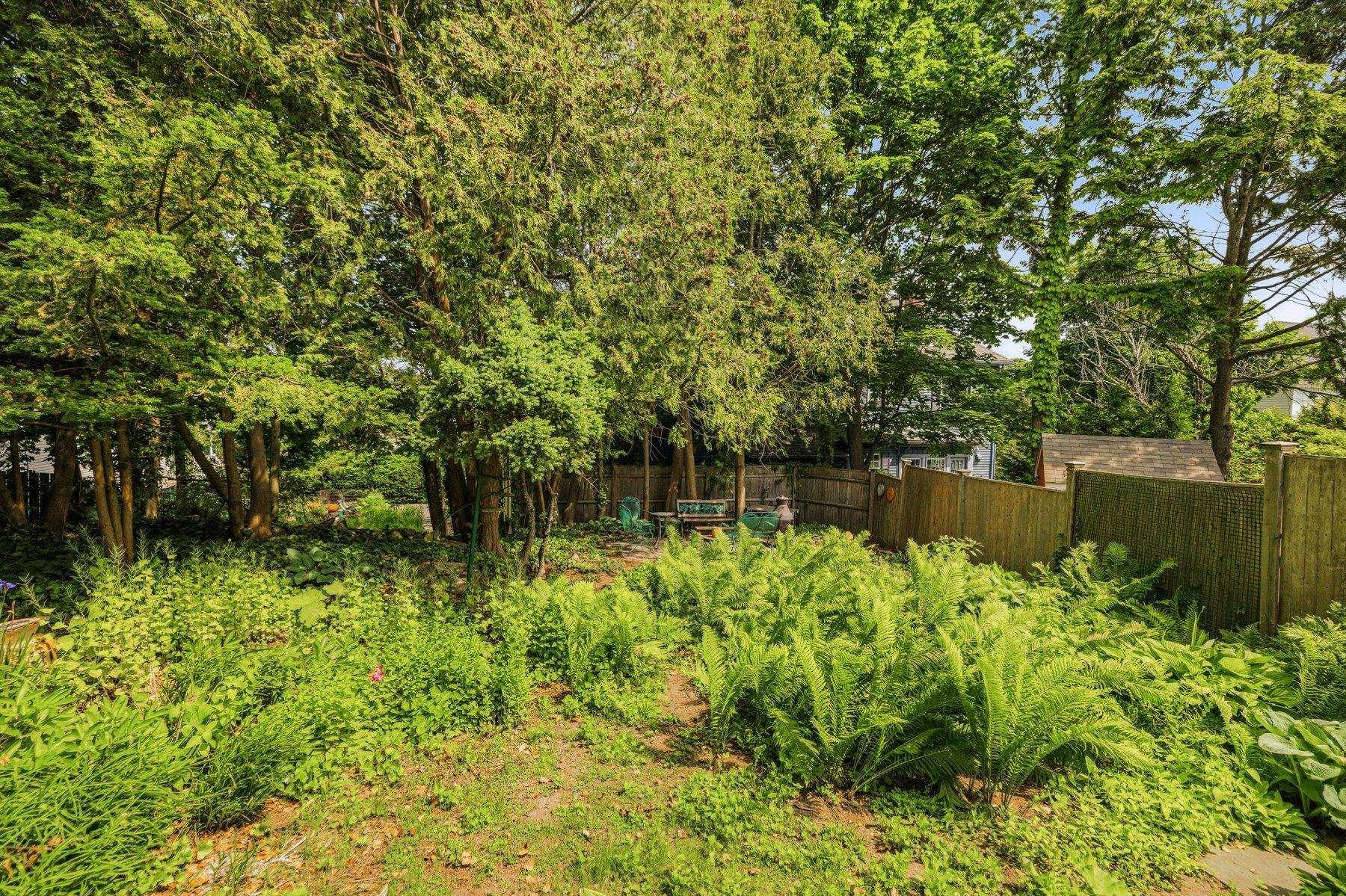 Image 4: Huge shared yard Image 4: Huge shared yard