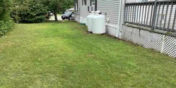 Image 4 Image 4