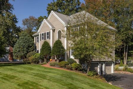 20 Juniper