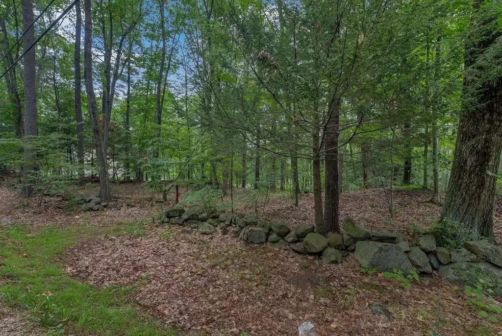 Image 1 Image 1