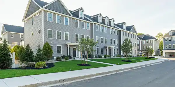 9 Juniper