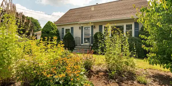 Image 2: Native plant gardens - low maintenance! Image 2: Native plant gardens - low maintenance!