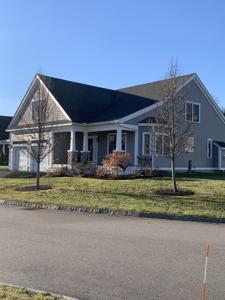 24 Boxwood