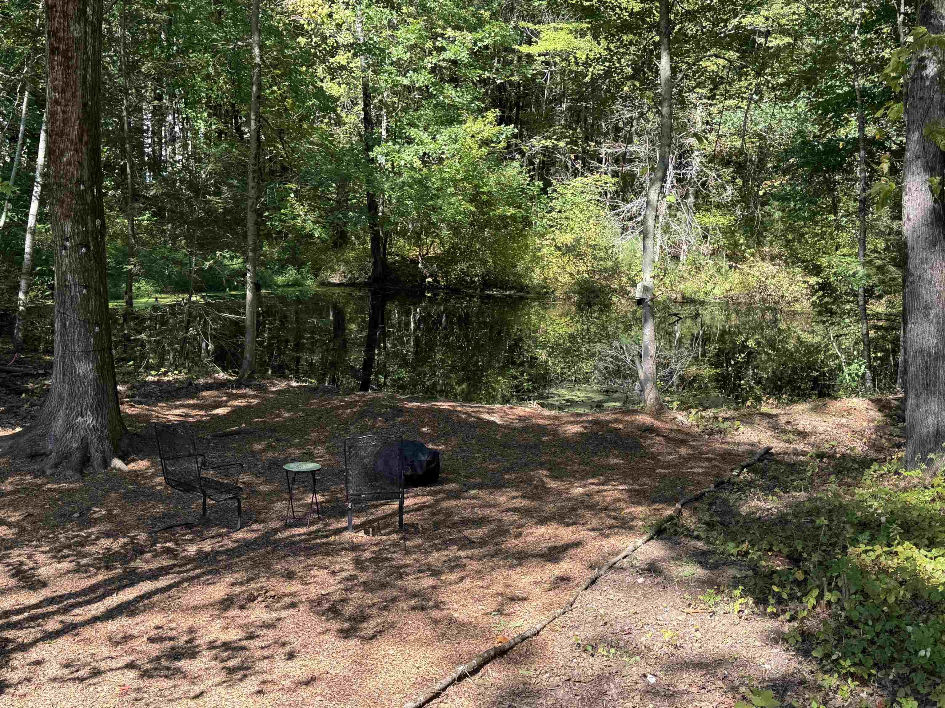 Image 4: Your own private pond