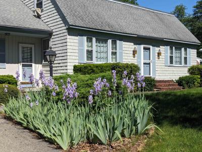 19 Sweetbriar Lane