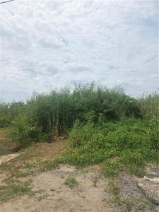Lots 1-4 QUINCE Lane