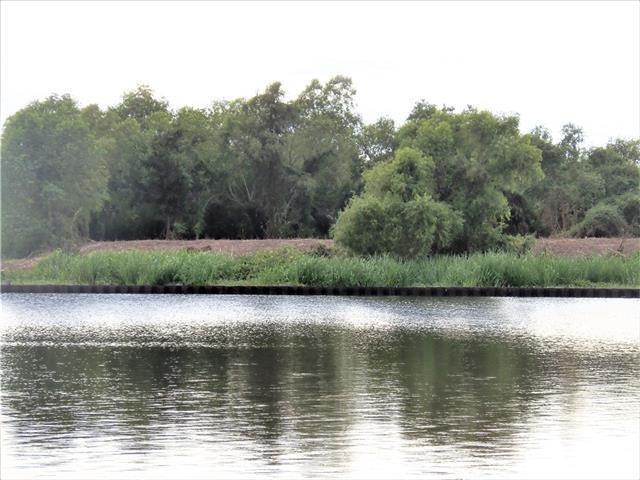 Image 4: property was cleared a few years back