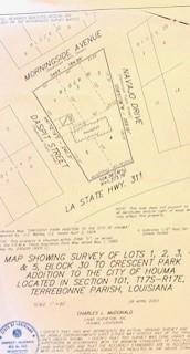 Image 3: survey of property