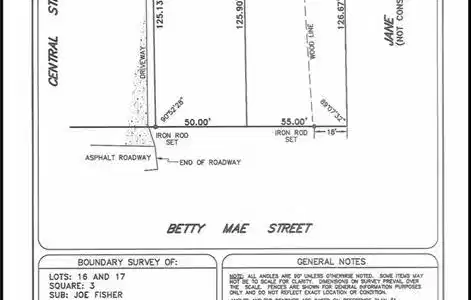 Image 2: Survey