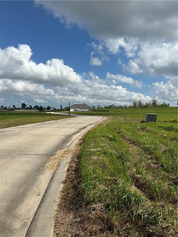 Image 3: Road to Large Levee Lot