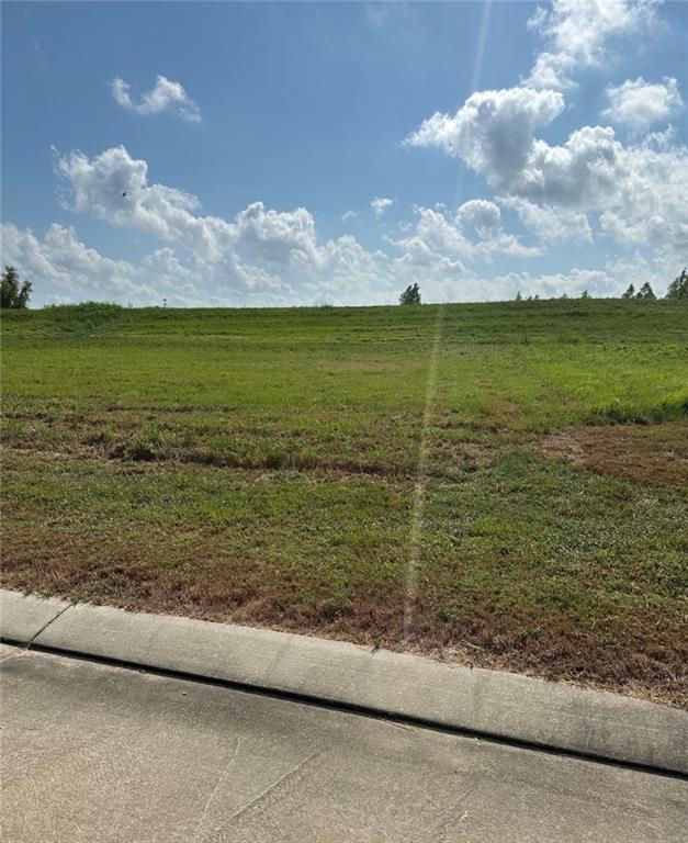 Image 4: Looking at Large Levee Lot from Street