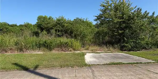221 NAVEL ORANGE Drive