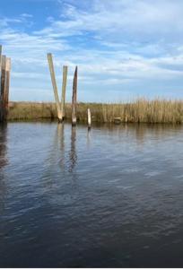 000 GRAND BAYOU Way