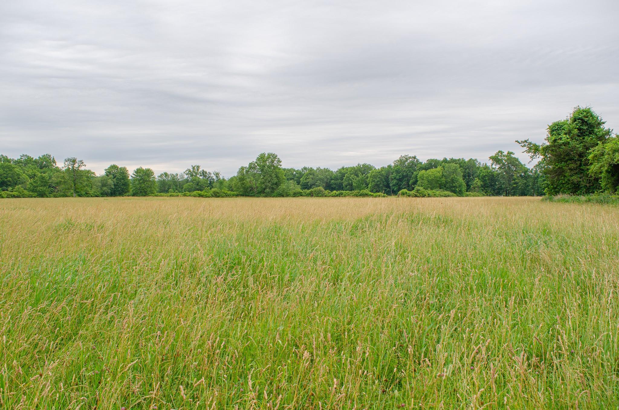 Image 4: Other Image 4: Other