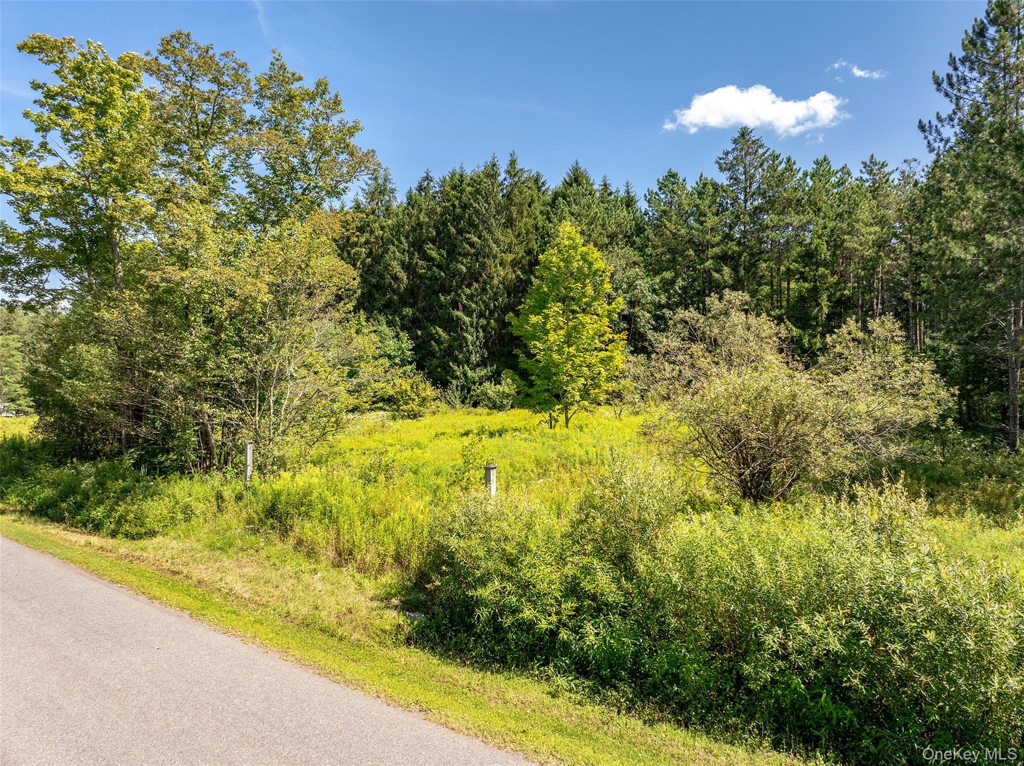 Image 4: Other Image 4: Other