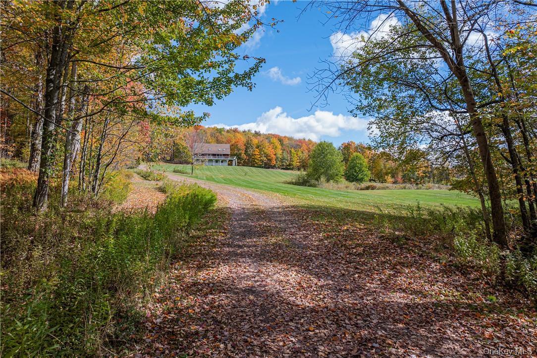 Image 4: Other Image 4: Other