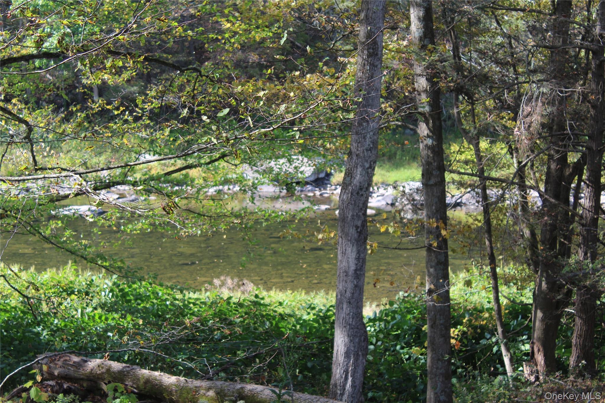 Image 1: Waterfront Image 1: Waterfront