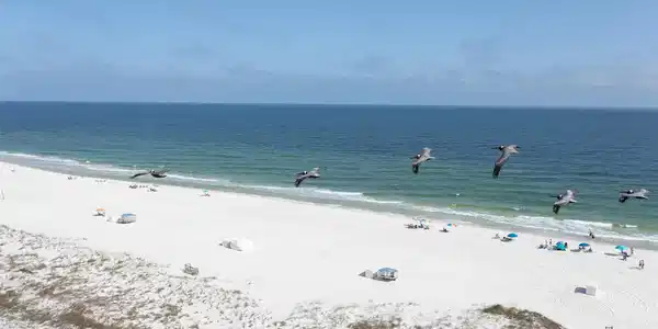 16285 Perdido Key Dr