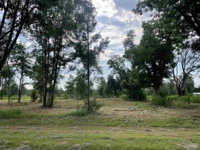 0 Old Pierce Rd