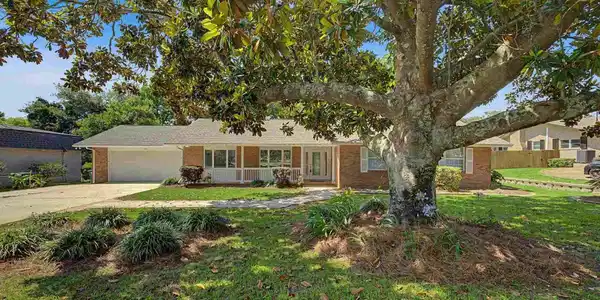 204 Nandina Rd