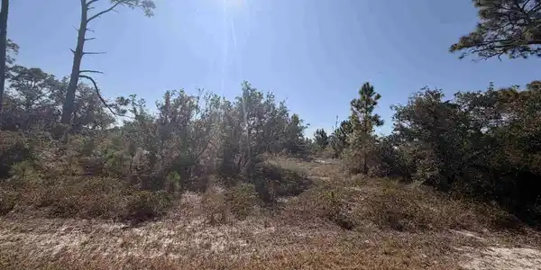 13000 Gongora Dr
