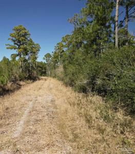 Robinson Point Rd