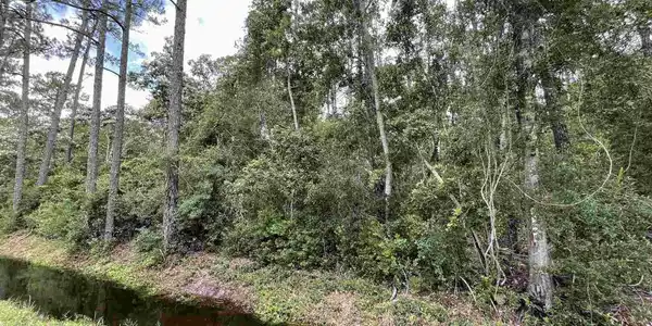 X Alekai Dr