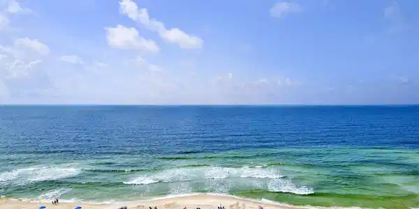 13601 Perdido Key Dr