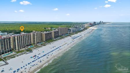 24230 Perdido Beach Blvd