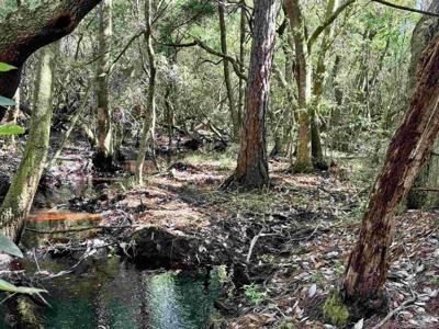 4753 Henry Wilson Creek Dri