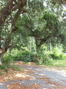 000 Eventide Rd