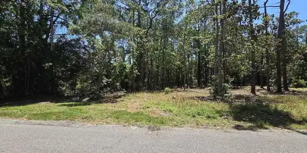 1000 BLK Perdido Manor Rd