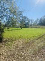 8100 BLK Scenic Hwy