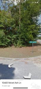 10715 Velvet Ash Ln