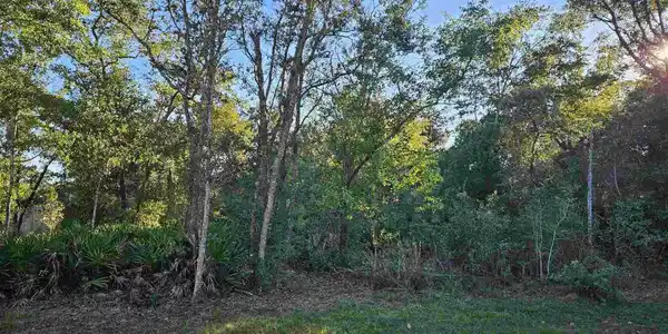12900 Seratine Dr