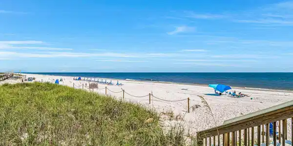 13335 Johnson Beach Rd