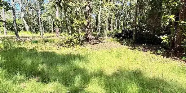 1000 Blk Perdido Manor Dr