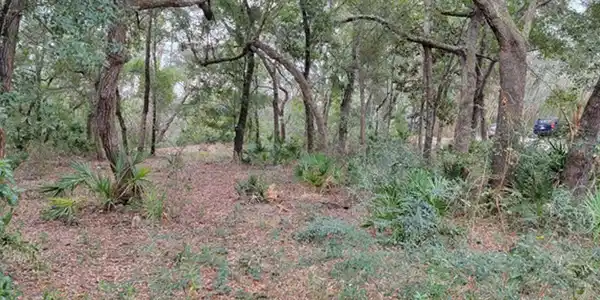 10192 Bittern Dr